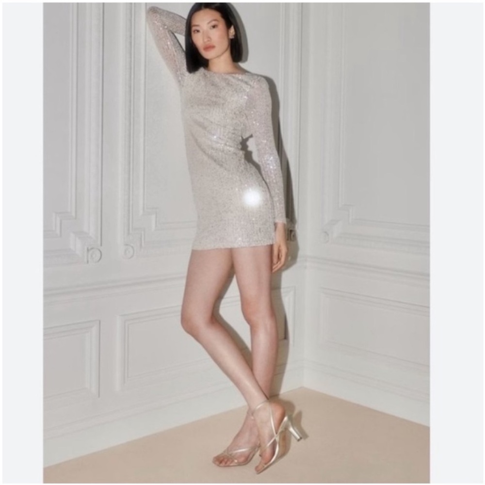 Abercrombie & Fitch Silver Sequin Ruched Lined Dress